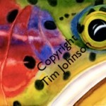 Rainbow Trout Watercolor by Tim Johnson