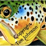 Water Color Brown Trout by Tim Johnson