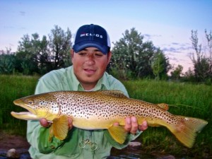 brown-trout-fly-fish