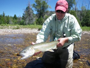 big rainbow trout