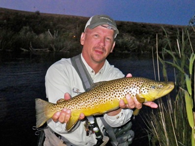 Brown Trout caught on Trico