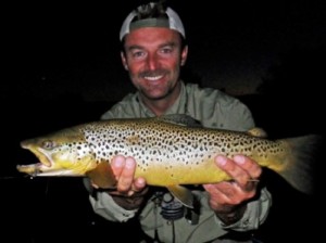 Big Brown Trout evening Trico hatch