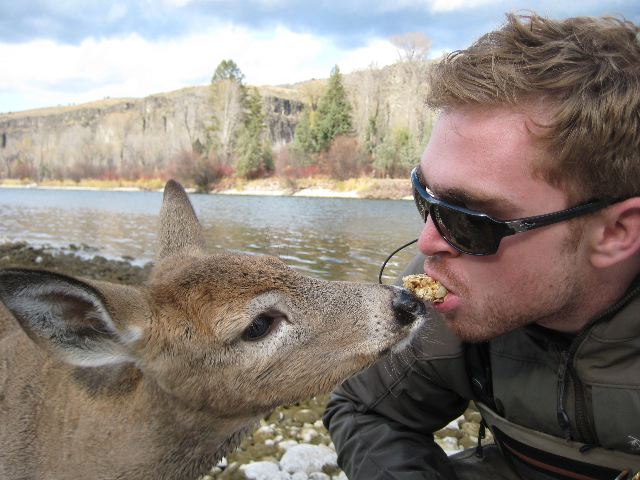 fly fishing deer, granola